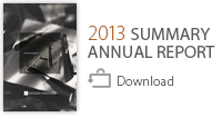 Download 2013 Summary Annual Report
