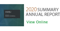 2020 Summary Annual Report - View Online