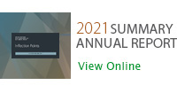 2021 Summary Annual Report  - View Online