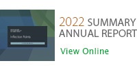 2022 Summary Annual Report  - View Online